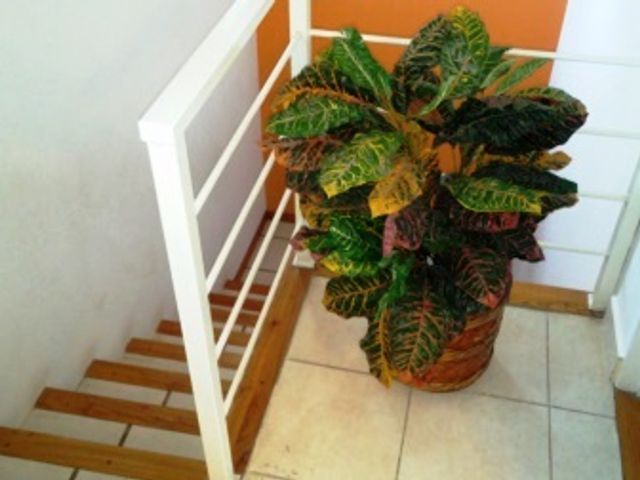 place photo 44