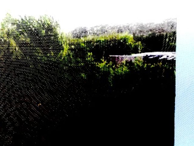 place photo 48