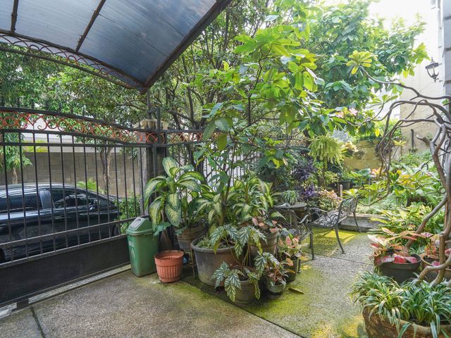 place photo 54