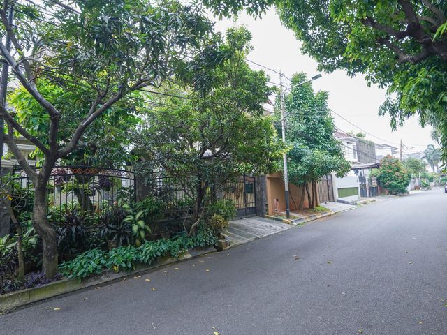 place photo 51