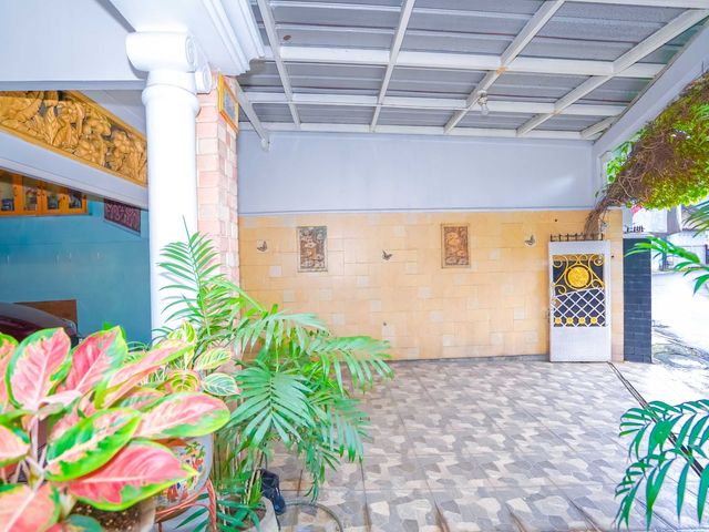 place photo 54