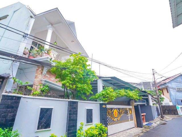 place photo 47