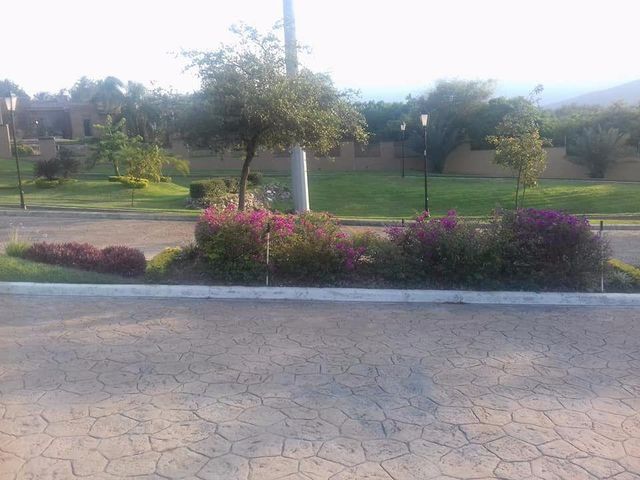 place photo 16