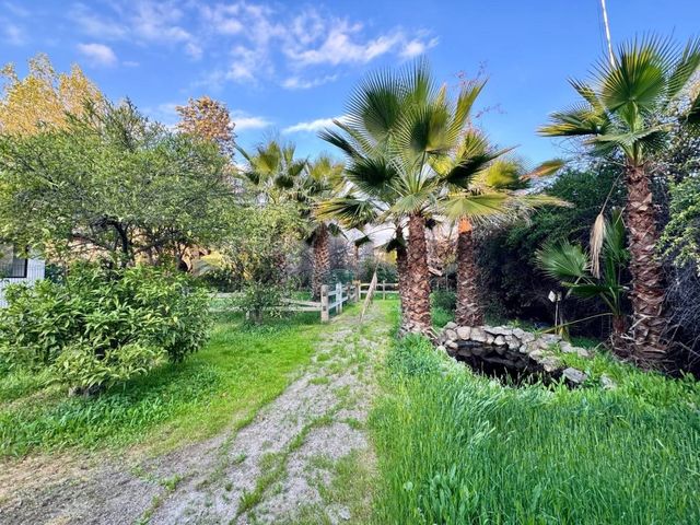 place photo 30