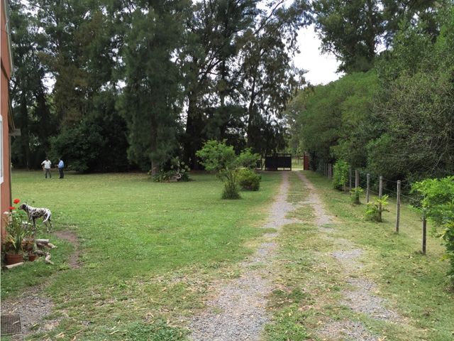 place photo 27