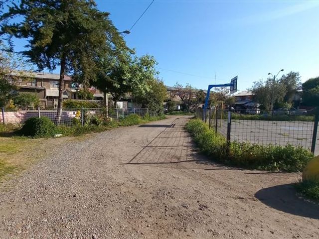 place photo 13