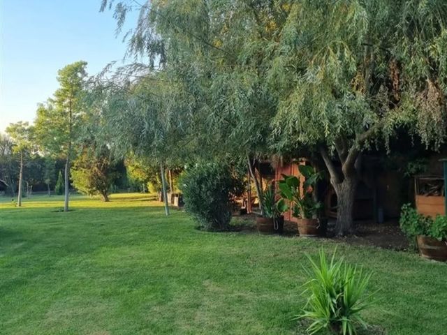 place photo 36