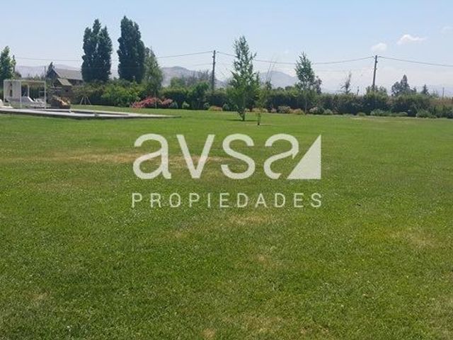 place photo 41