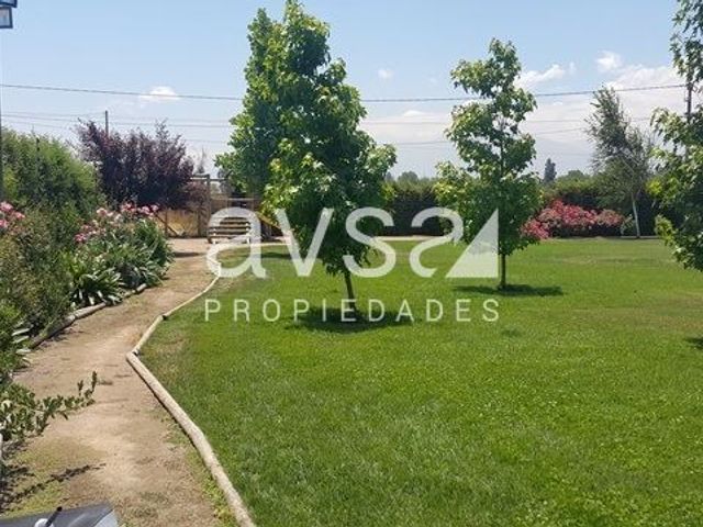 place photo 39