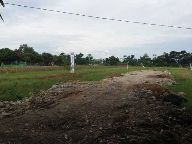 place photo 2