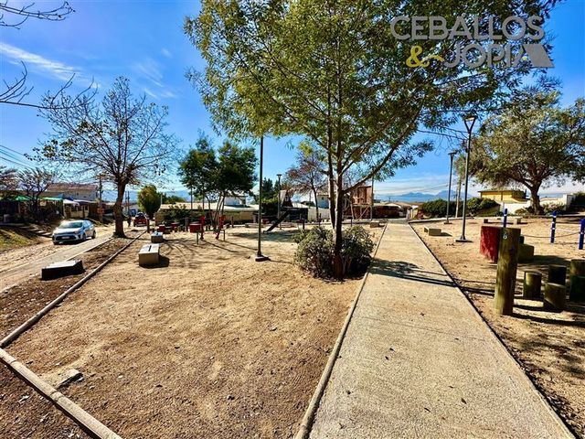 place photo 41