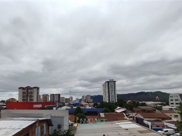 place photo 17