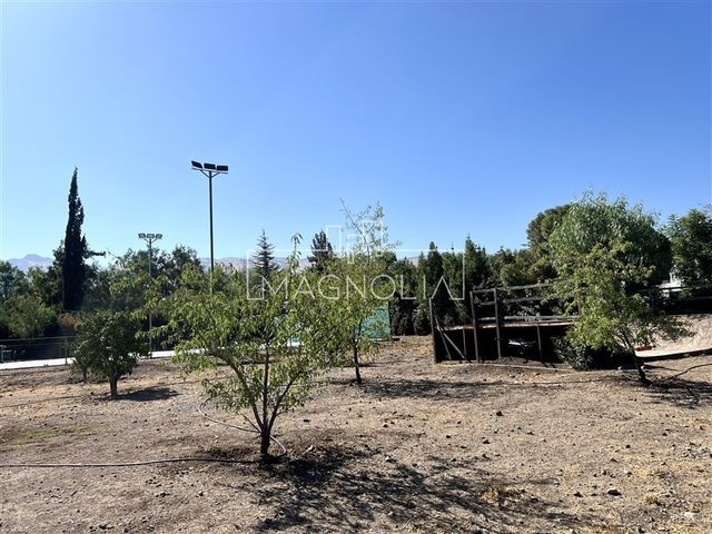 place photo 31