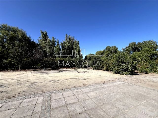 place photo 30