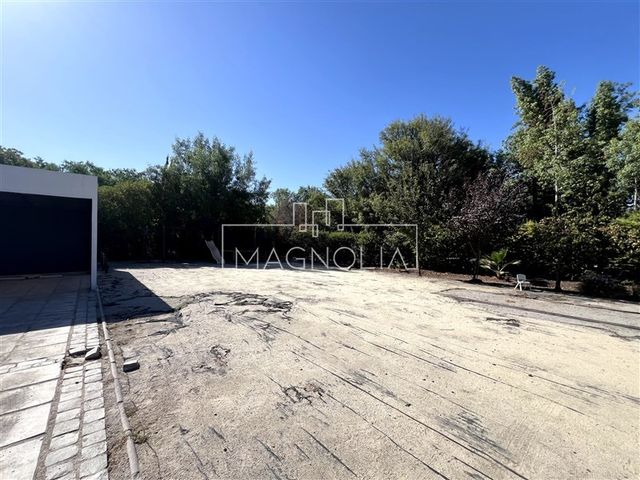 place photo 27