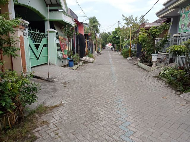 place photo 13