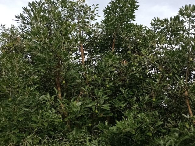 place photo 22