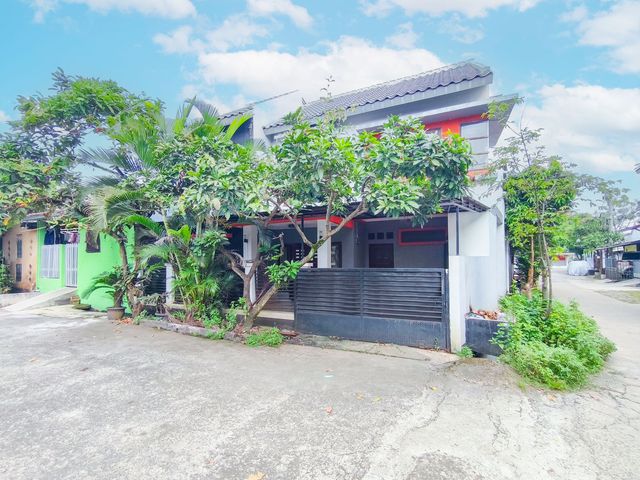 place photo 43