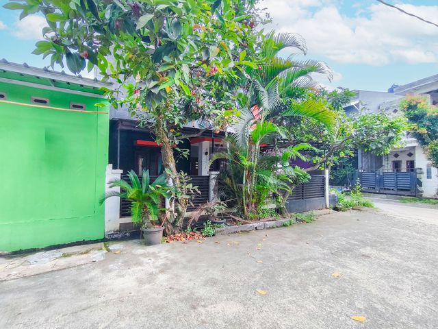 place photo 44