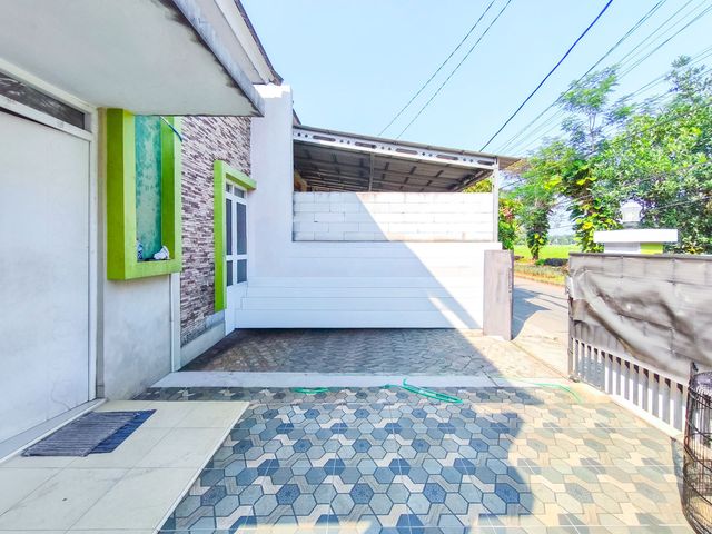 place photo 28