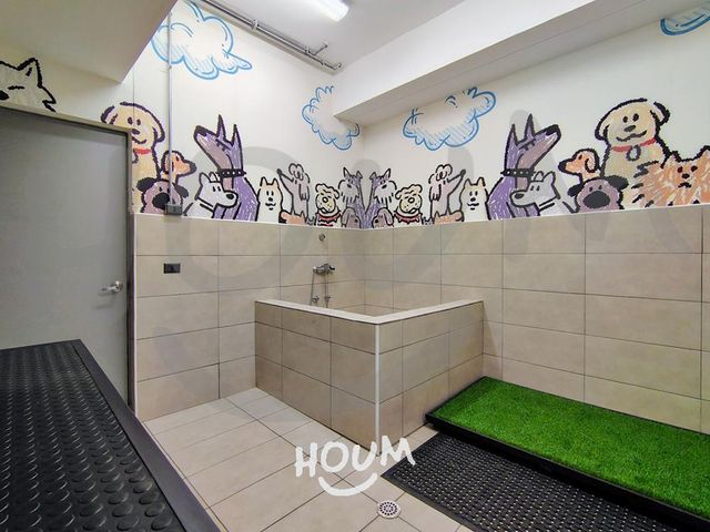 place photo 25