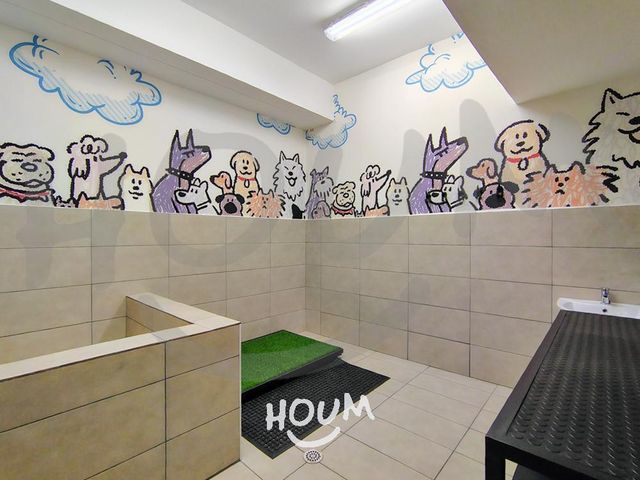 place photo 26