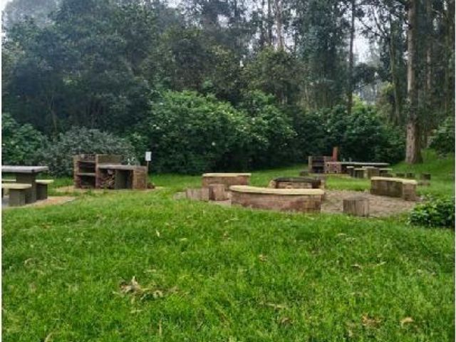 place photo 27