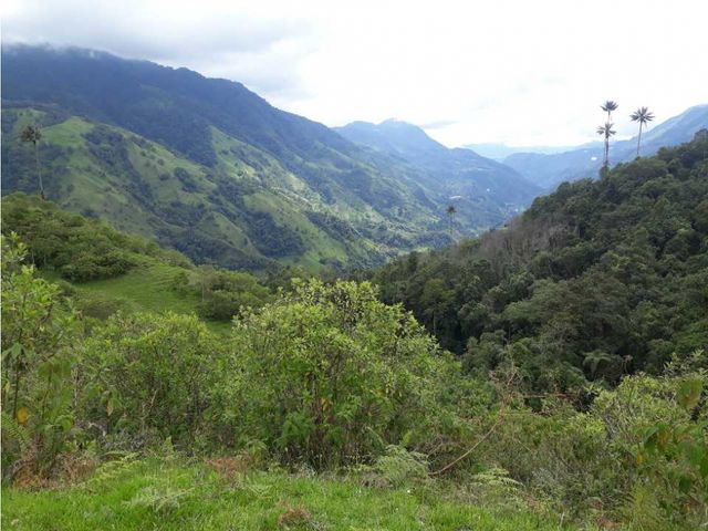 place photo 24