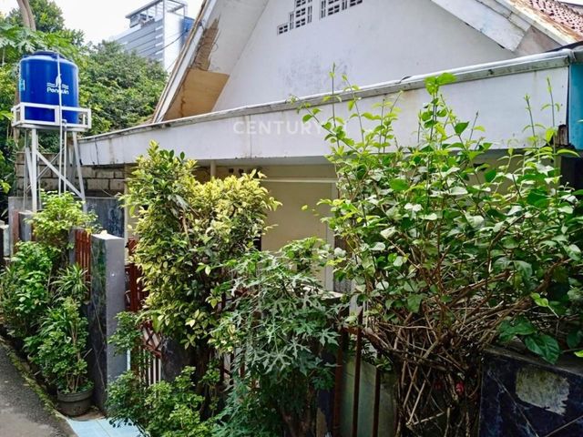 place photo 8