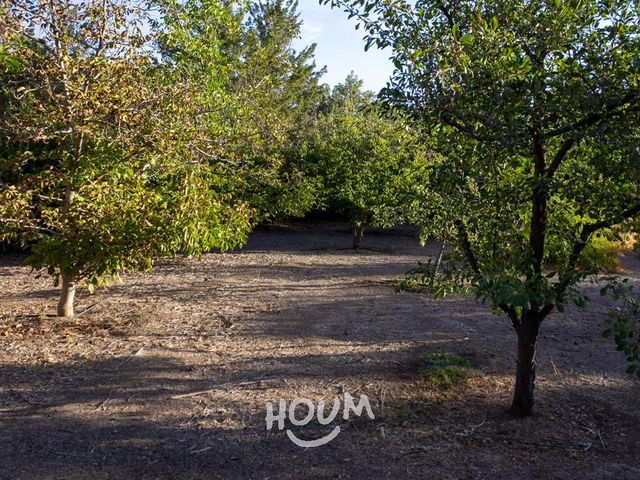 place photo 51