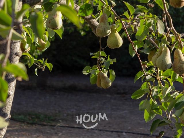 place photo 49