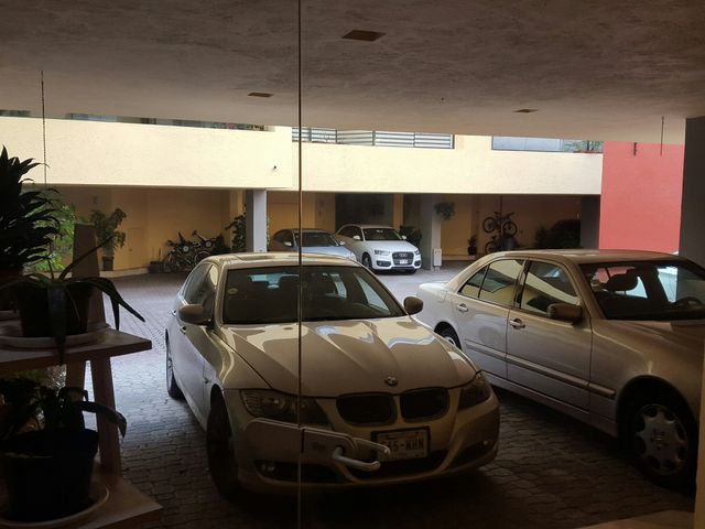 place photo 37