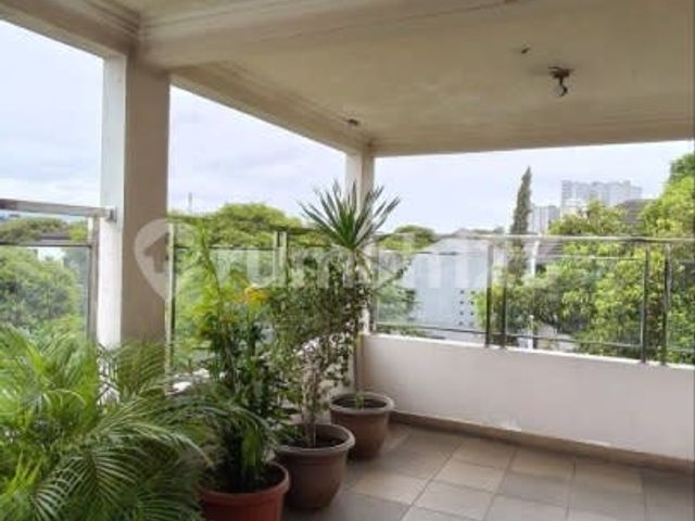place photo 20