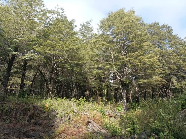 place photo 21