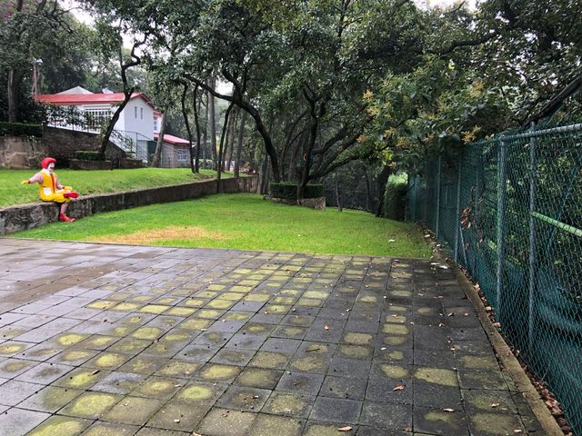 place photo 10