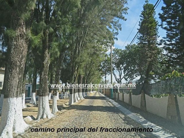 place photo 32