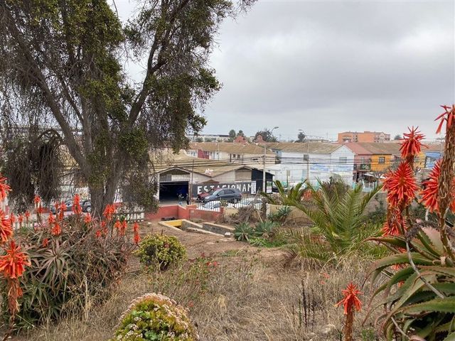 place photo 11