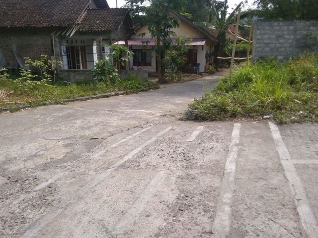 place photo 12