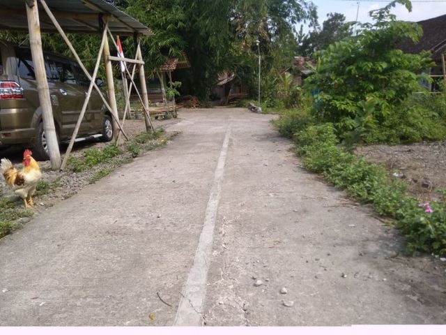 place photo 7