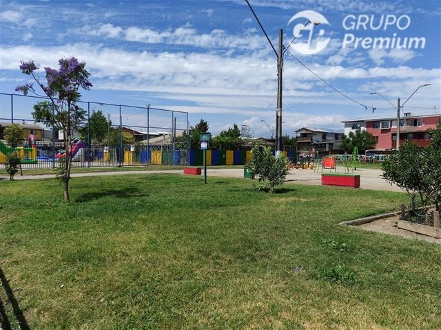 place photo 16