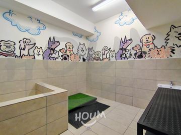 place photo 21