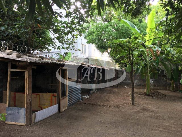 place photo 17