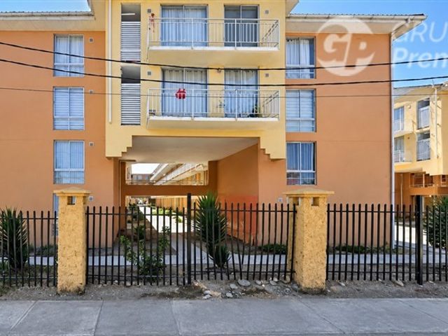 place photo 23