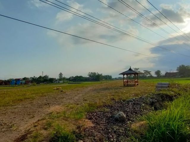 place photo 2