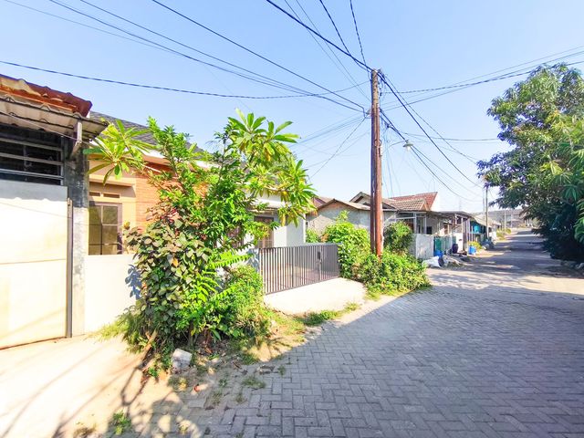 place photo 17