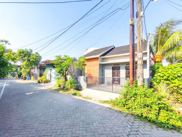 place photo 16