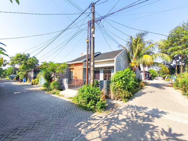 place photo 18
