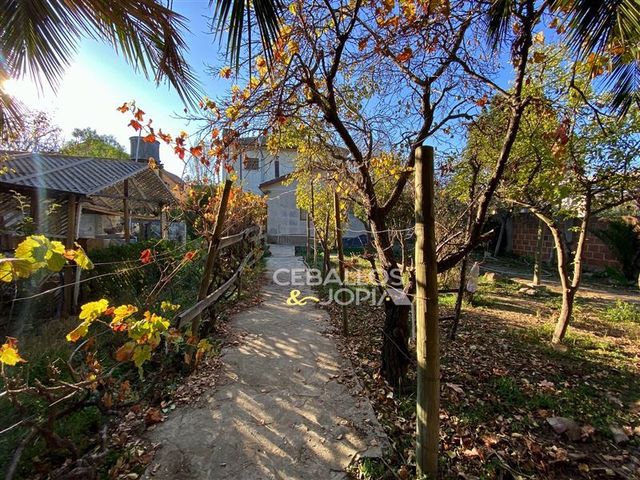 place photo 42