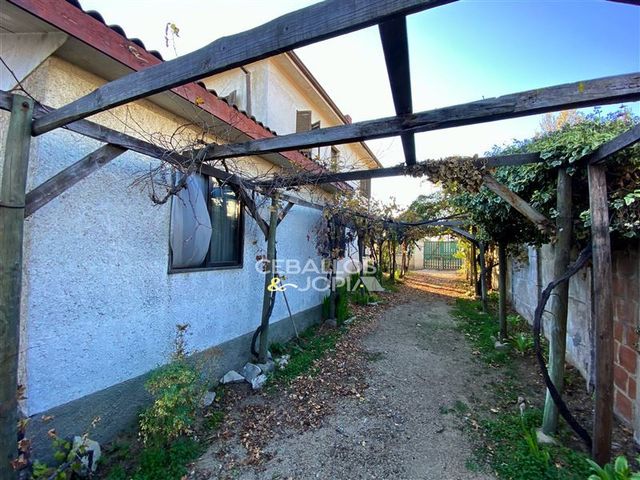 place photo 45