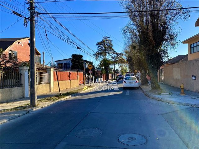 place photo 47